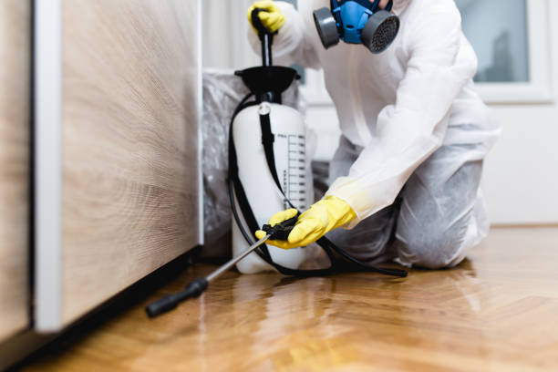 Best Wildlife Control Services  in Laguna Heights, TX