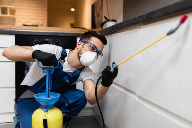 Best Bed Bug Extermination  in Laguna Heights, TX