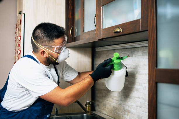 Best Mosquito Control Services  in Laguna Heights, TX