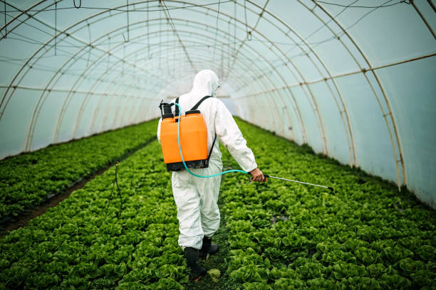 Best Best Pest Control Companies  in Laguna Heights, TX