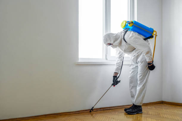 Best Pest Prevention Services  in Laguna Heights, TX