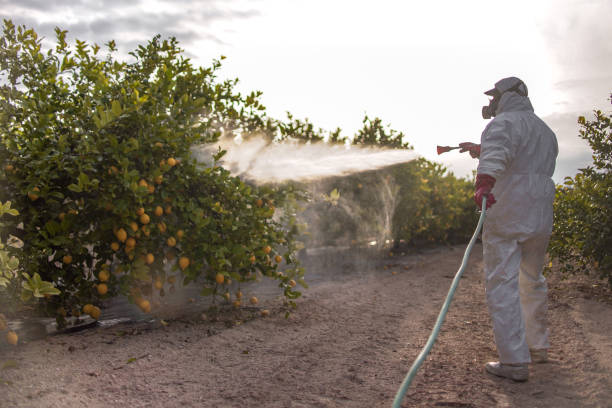 Best Best Pest Control Companies  in Laguna Heights, TX
