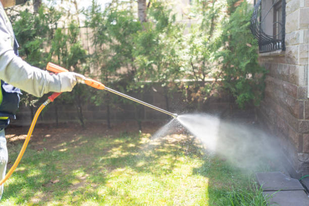 Best Pest Control Treatment  in Laguna Heights, TX
