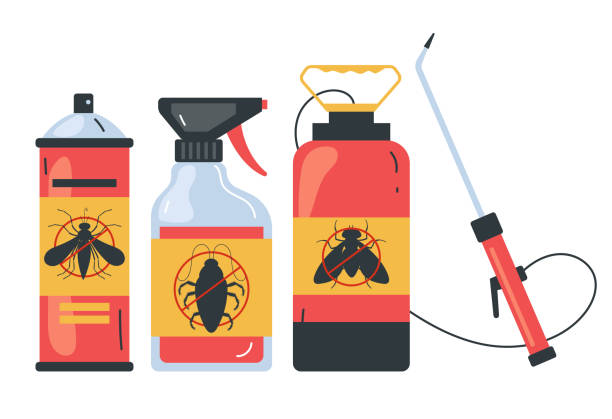 Flea Control Services in Laguna Heights, TX