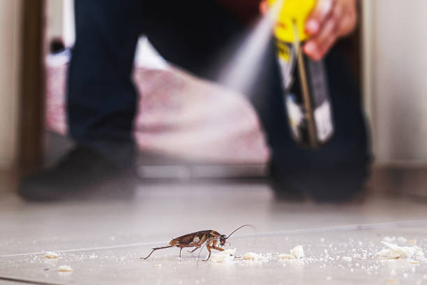 Best Commercial Pest Control Services  in Laguna Heights, TX