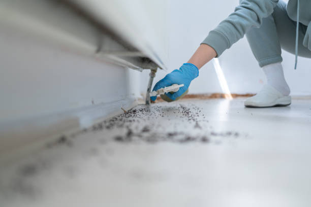 Best Commercial Pest Control Services  in Laguna Heights, TX